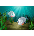 Two fishes with sharp teeth under the sea vector image