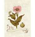 Vintage poppy card vector image