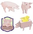 Pig collection vector image
