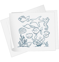 A paper with a drawing of the different underwater vector image