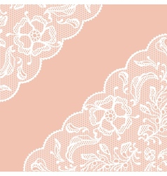 Vintage lace frame ornamental flowers texture vector image