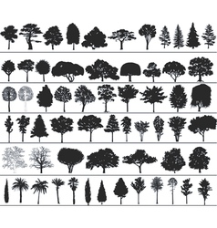 Trees vector image