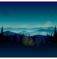Misty coniferous forests vector image