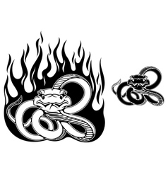 Danger rattlesnake vector image