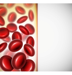 Blood cells vector image