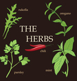 Organic herbs design set vector image