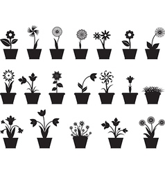 Flowers in pot vector image