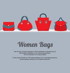Women Handbags Display On Shelf Women Handbags Display On Shelf vector image