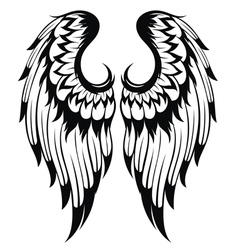 Angel wings vector image