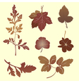 Plants silhouettes vector image