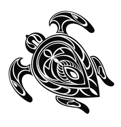 Abstract turtle vector image