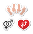 Couple sex making love icons as labels set vector image