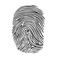 Fingerprint vector image