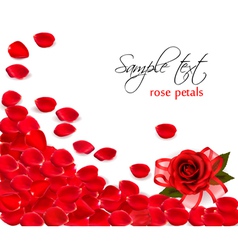 Background of red rose petals Background of red rose petals vector image