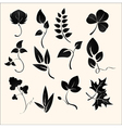 Plants silhouettes vector image