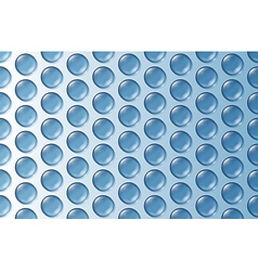 Bubble wrap texture vector image