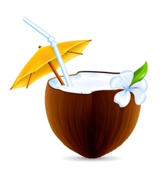Coconut Cocktail vector image