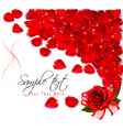 Background of red rose petals vector image