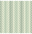 Herringbone texture vector image
