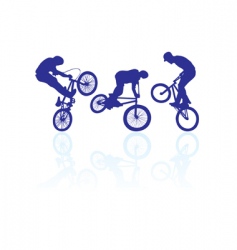 BMX riders vector image