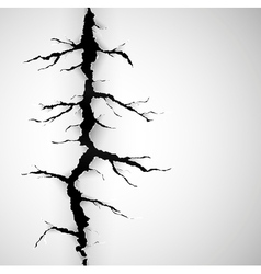 Crack on paper vector image