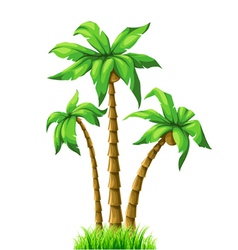 Summer with palm trees vector image