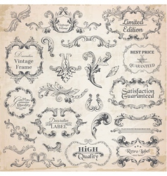 Set Calligraphic Design Elements vector image
