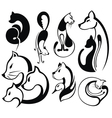 Black Cat vector image