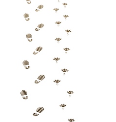 Foot prints Foot prints vector image