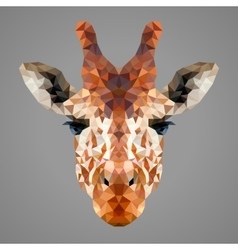 Giraffe low poly portrait vector image