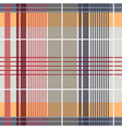 Spring Plaid Pattern vector image