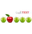 Apples vector image