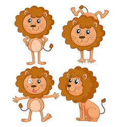 Cartoon lions vector image