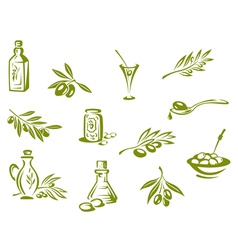 Green olives and organic oil symbols vector image