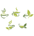 Green tea vector image