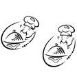 Chinese chef vector image