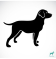 Dog Labrador vector image