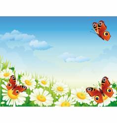 Butterfly vector image
