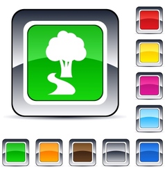 Tree square button vector image