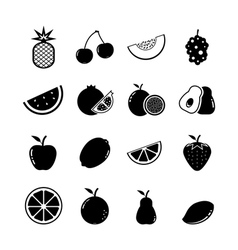 Fruit Icon vector image
