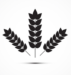 Ears of Wheat Icon Ears of Wheat Icon vector image