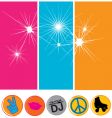 Disco flavor vector image