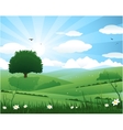 Nature landscape vector image