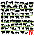 Dairy cattle silhouettes set vector image