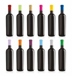 Wine bottles set vector image