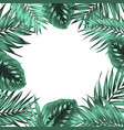 Tropical jungle palm monstera green leaves frame vector image