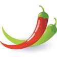 Hot chili vector image