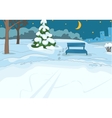 Outdoor Skating Rink vector image