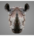 Rhinoceros low poly portrait vector image