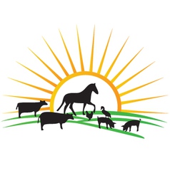 Farm animal silhouettes vector image